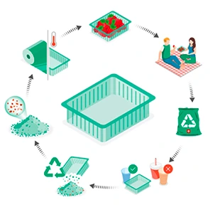 Ciclo de reciclaje de envases PET del proyecto PAC2PAC